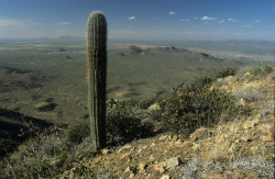 2007 04 18B 014 USA Arizona Web